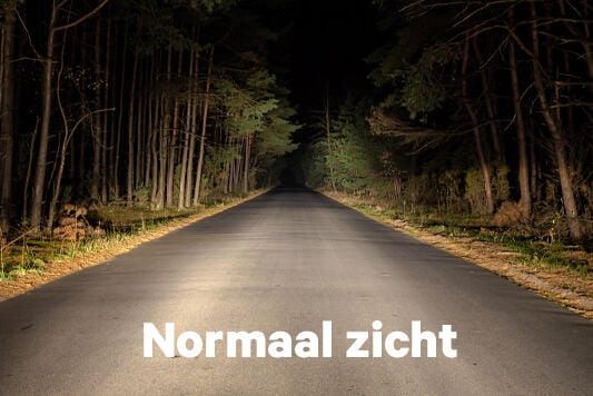 Normaal zicht